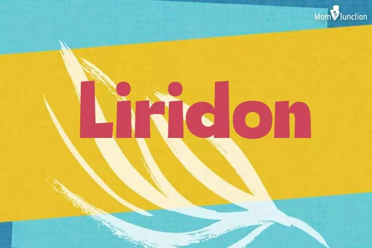 Liridon Stylish Wallpaper