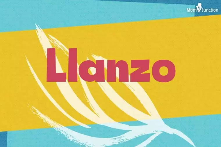 Llanzo Stylish Wallpaper