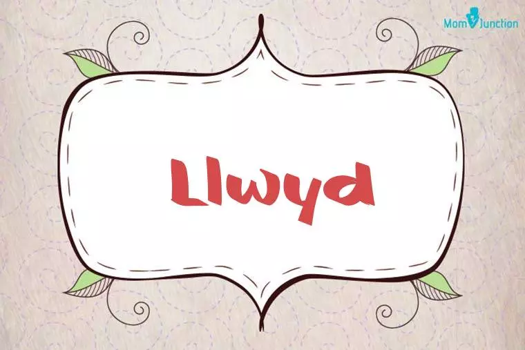 Llwyd Stylish Wallpaper