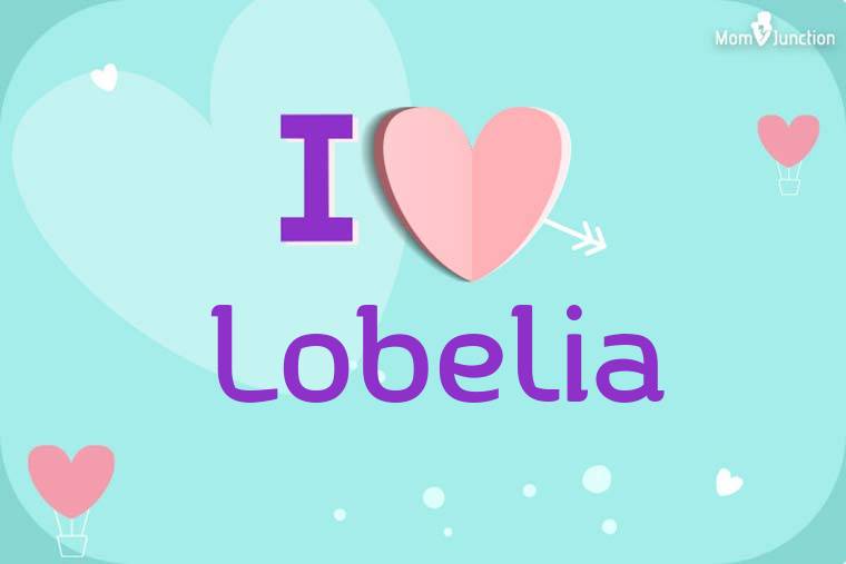I Love Lobelia Wallpaper