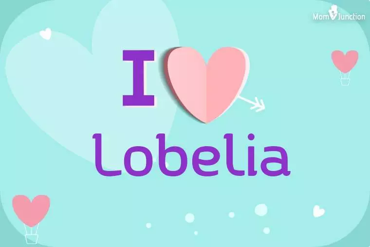 I Love Lobelia Wallpaper