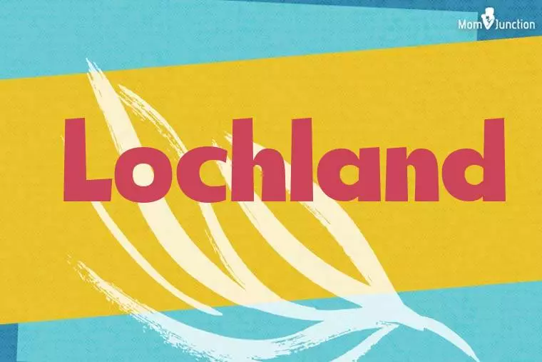 Lochland Stylish Wallpaper