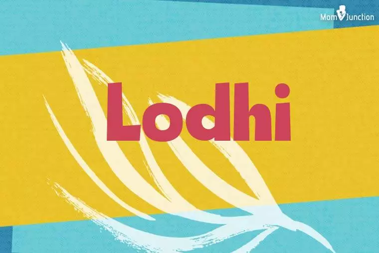 Lodhi Stylish Wallpaper