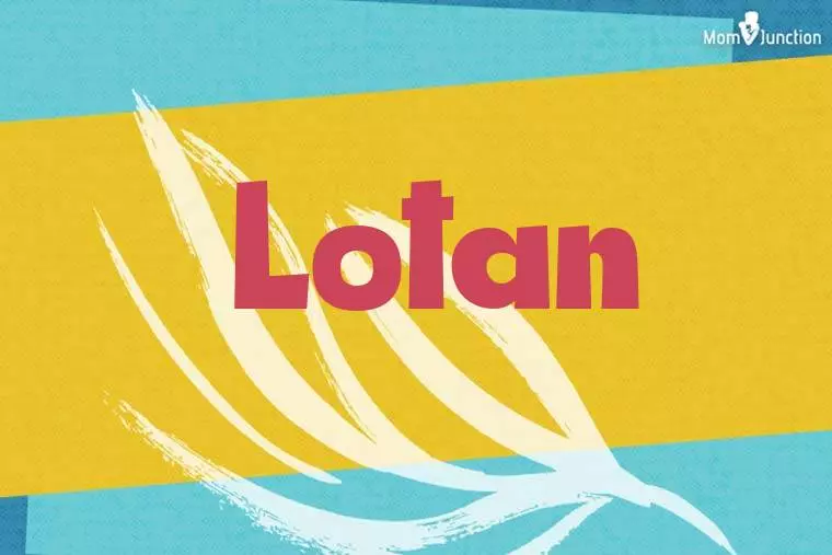 Lotan Stylish Wallpaper