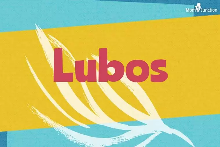 Lubos Stylish Wallpaper