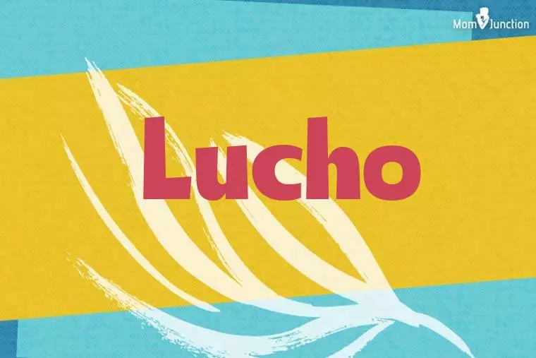 Lucho Stylish Wallpaper