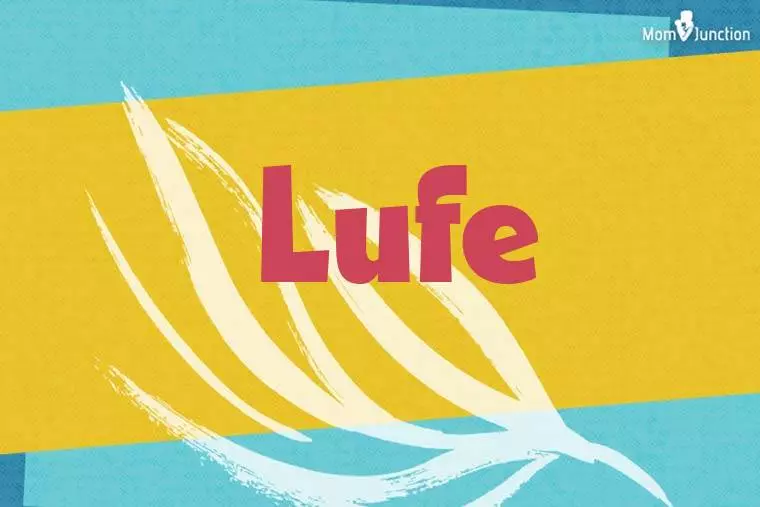 Lufe Stylish Wallpaper