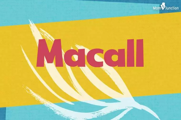 Macall Stylish Wallpaper