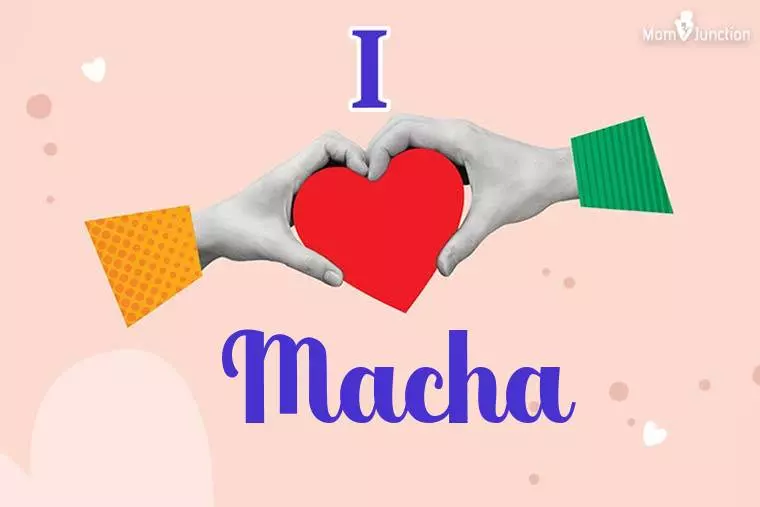 I Love Macha Wallpaper