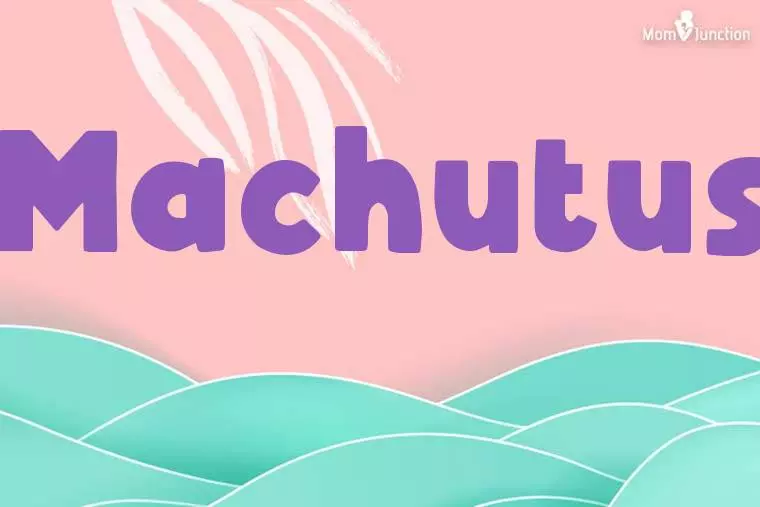 Machutus Stylish Wallpaper