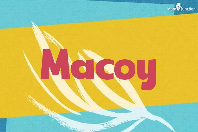 Macoy Stylish Wallpaper