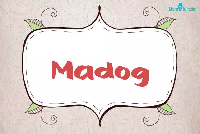 Madog Stylish Wallpaper