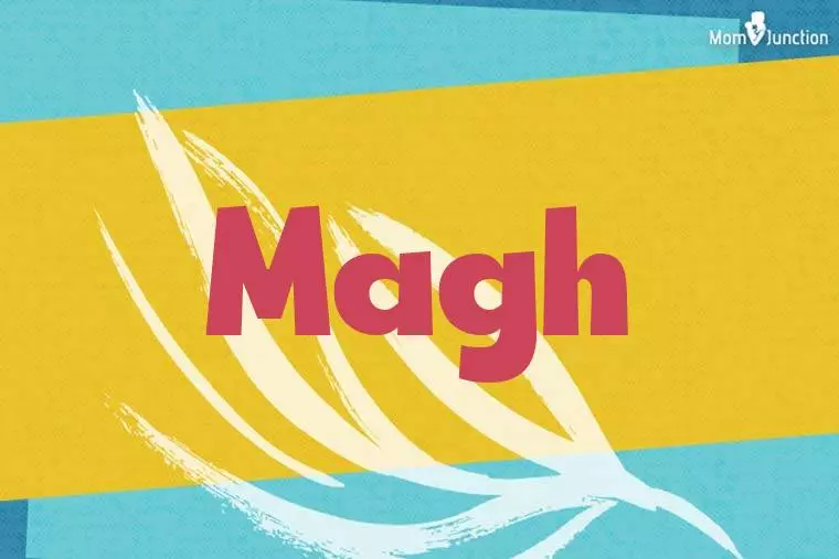 Magh Stylish Wallpaper