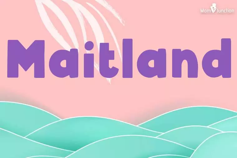 Maitland Stylish Wallpaper