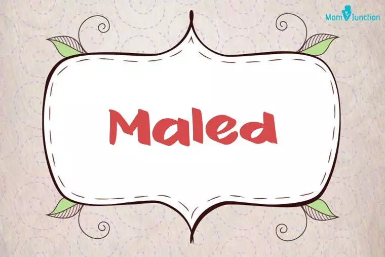 Maled Stylish Wallpaper