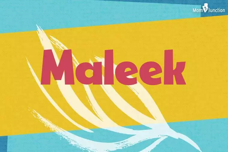 Maleek Stylish Wallpaper