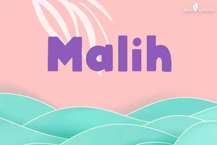 Malih Stylish Wallpaper