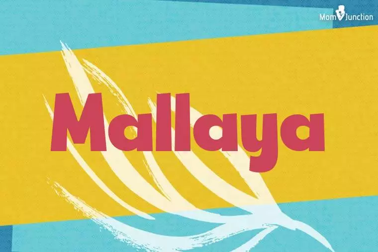 Mallaya Stylish Wallpaper