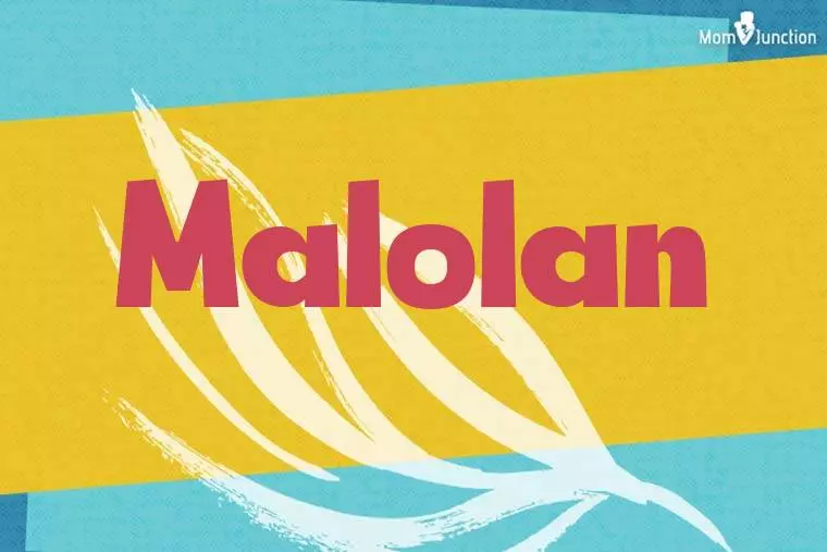 Malolan Stylish Wallpaper