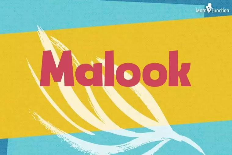 Malook Stylish Wallpaper