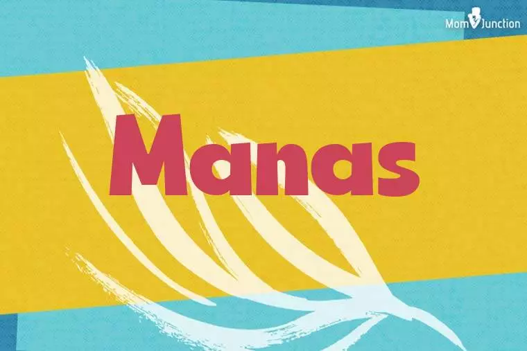 Manas Stylish Wallpaper