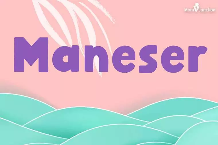 Maneser Stylish Wallpaper