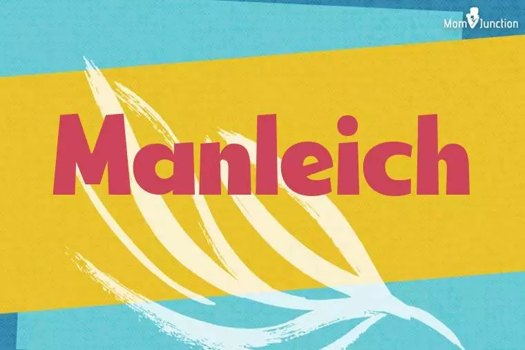 Manleich Stylish Wallpaper