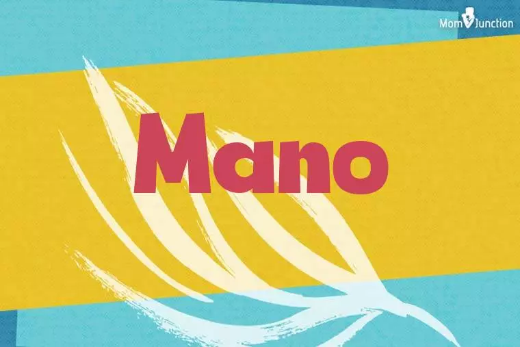 Mano Stylish Wallpaper