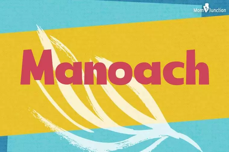 Manoach Stylish Wallpaper