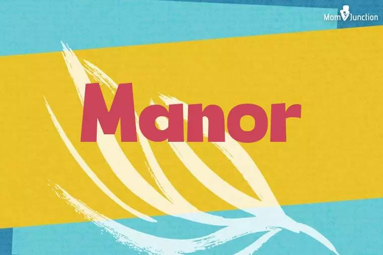 Manor Stylish Wallpaper