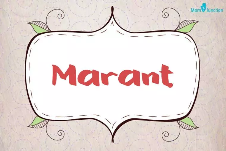 Marant Stylish Wallpaper