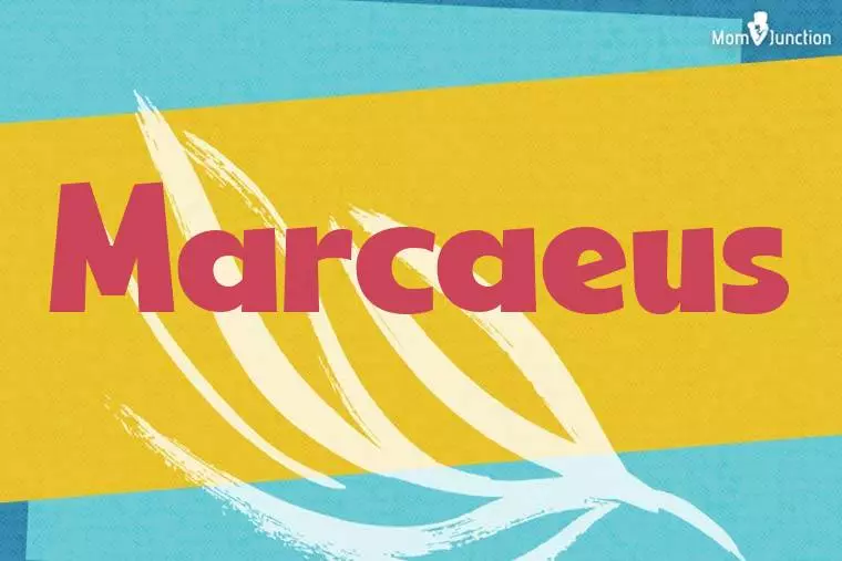 Marcaeus Stylish Wallpaper