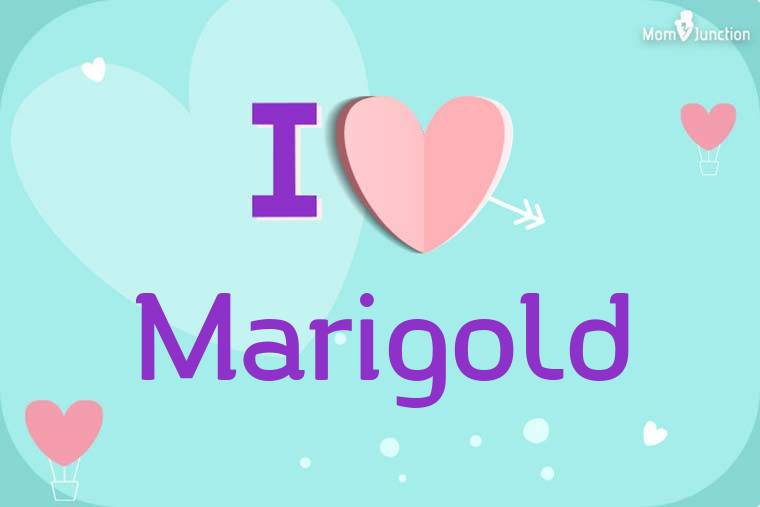 I Love Marigold Wallpaper