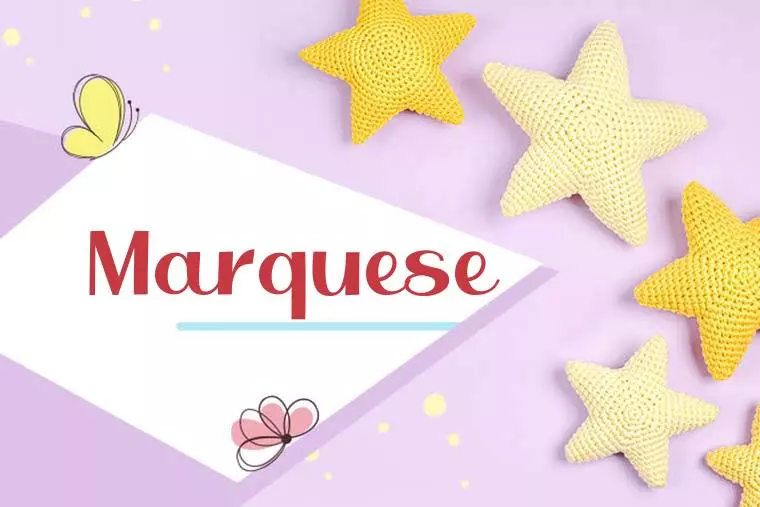 Marquese Stylish Wallpaper