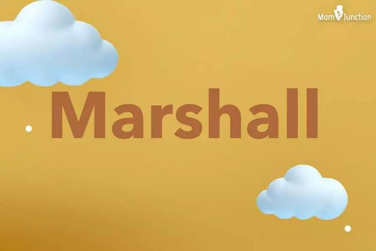 Marshall 3D Wallpaper