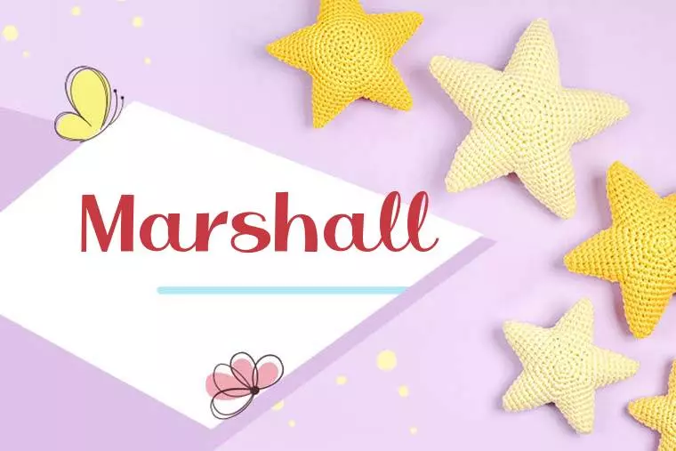 Marshall Stylish Wallpaper