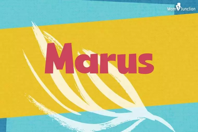 Marus Stylish Wallpaper