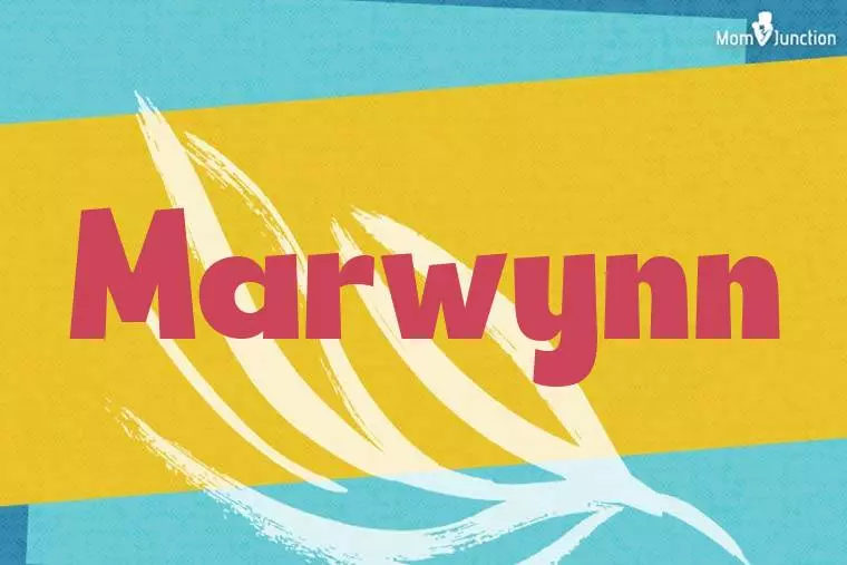 Marwynn Stylish Wallpaper