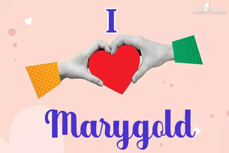 I Love Marygold Wallpaper