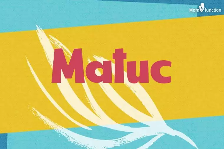 Matuc Stylish Wallpaper