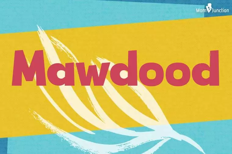 Mawdood Stylish Wallpaper