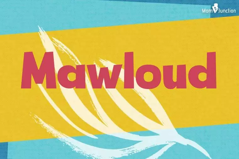 Mawloud Stylish Wallpaper