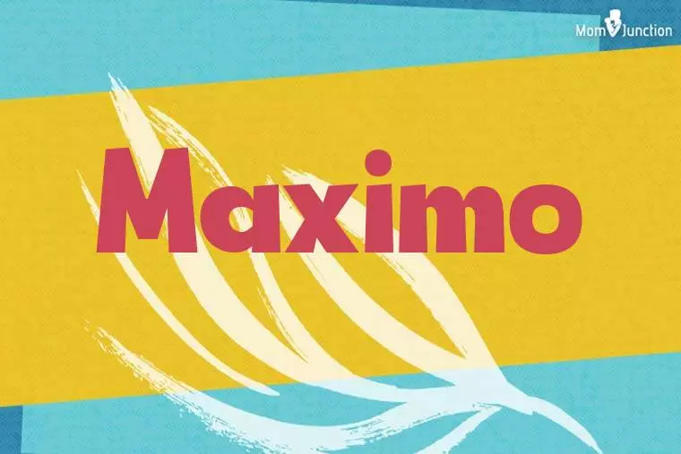 Maximo Stylish Wallpaper