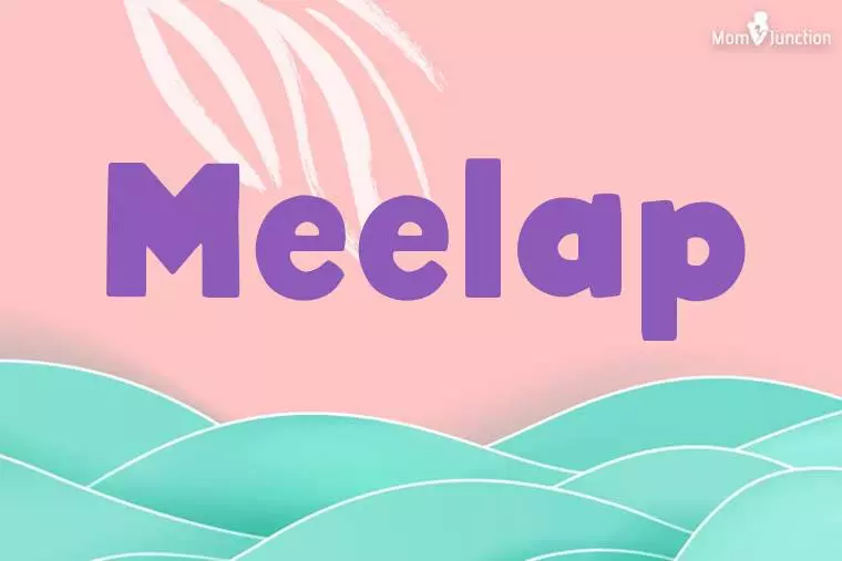 Meelap Stylish Wallpaper