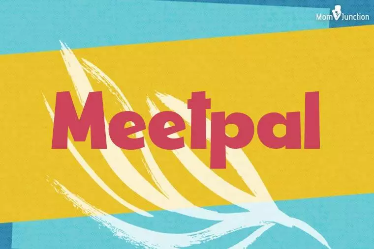 Meetpal Stylish Wallpaper