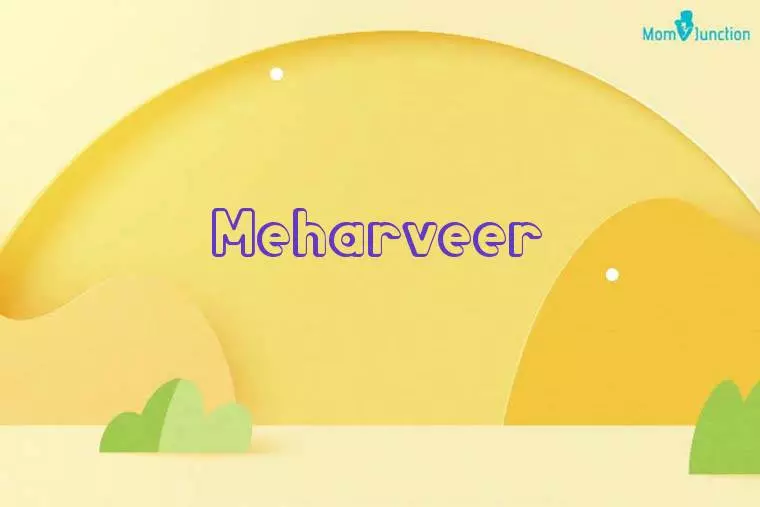 Meharveer 3D Wallpaper