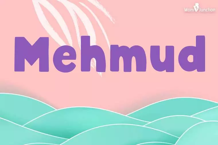 Mehmud Stylish Wallpaper