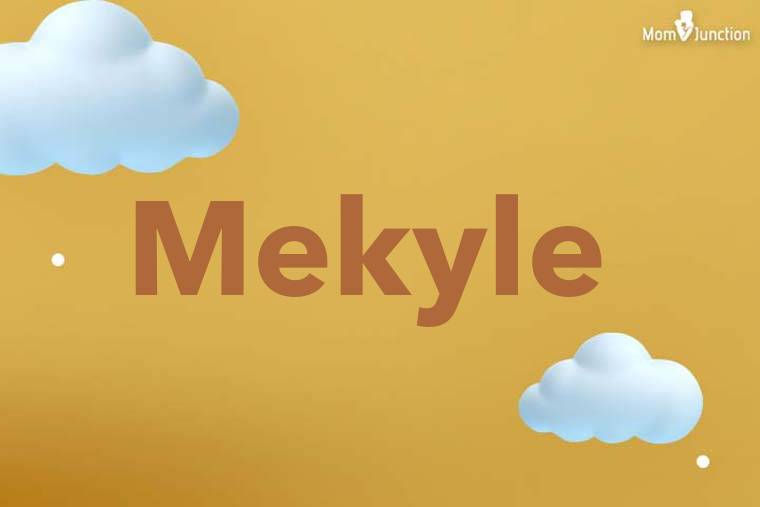 Mekyle 3D Wallpaper