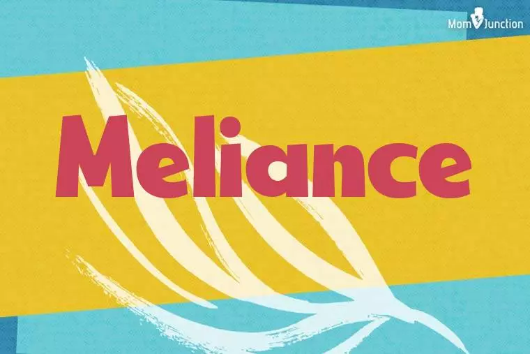 Meliance Stylish Wallpaper