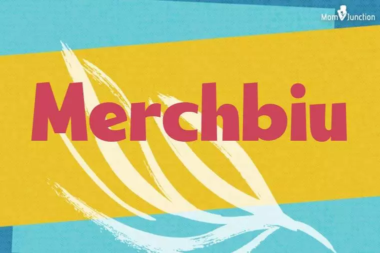 Merchbiu Stylish Wallpaper